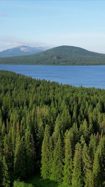 По болотам до цивилизации