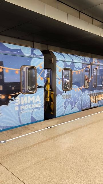 Новогодний поезд Ока 2025