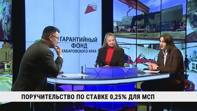 Поручительство по ставке 0,2 % для МСП / Карина Боровикова, Елена Литвинова