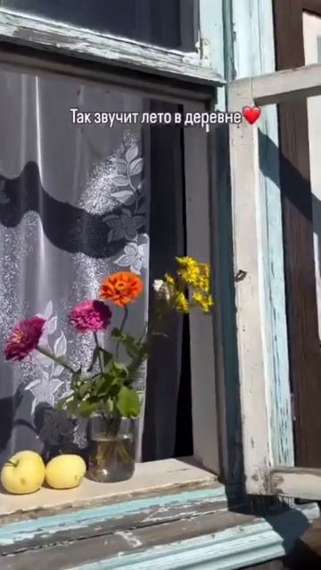 Лето в деревне