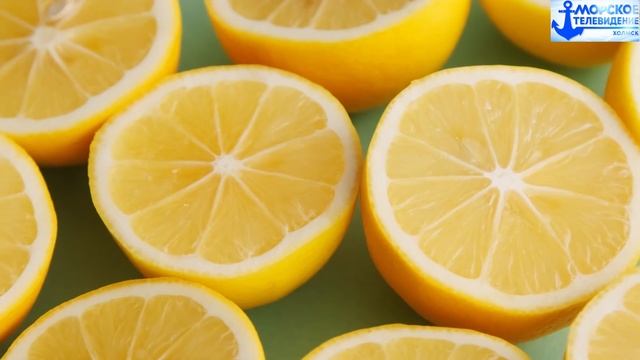 Песня: Я так давно не ел краба (В стиле рок-н-ролл)