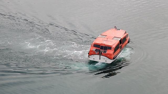 бот Astoria Grande на прогулке