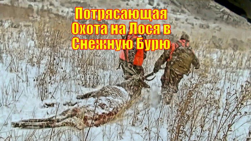 Потрясающая Охота на Лося в Снежную Бурю в Монтане