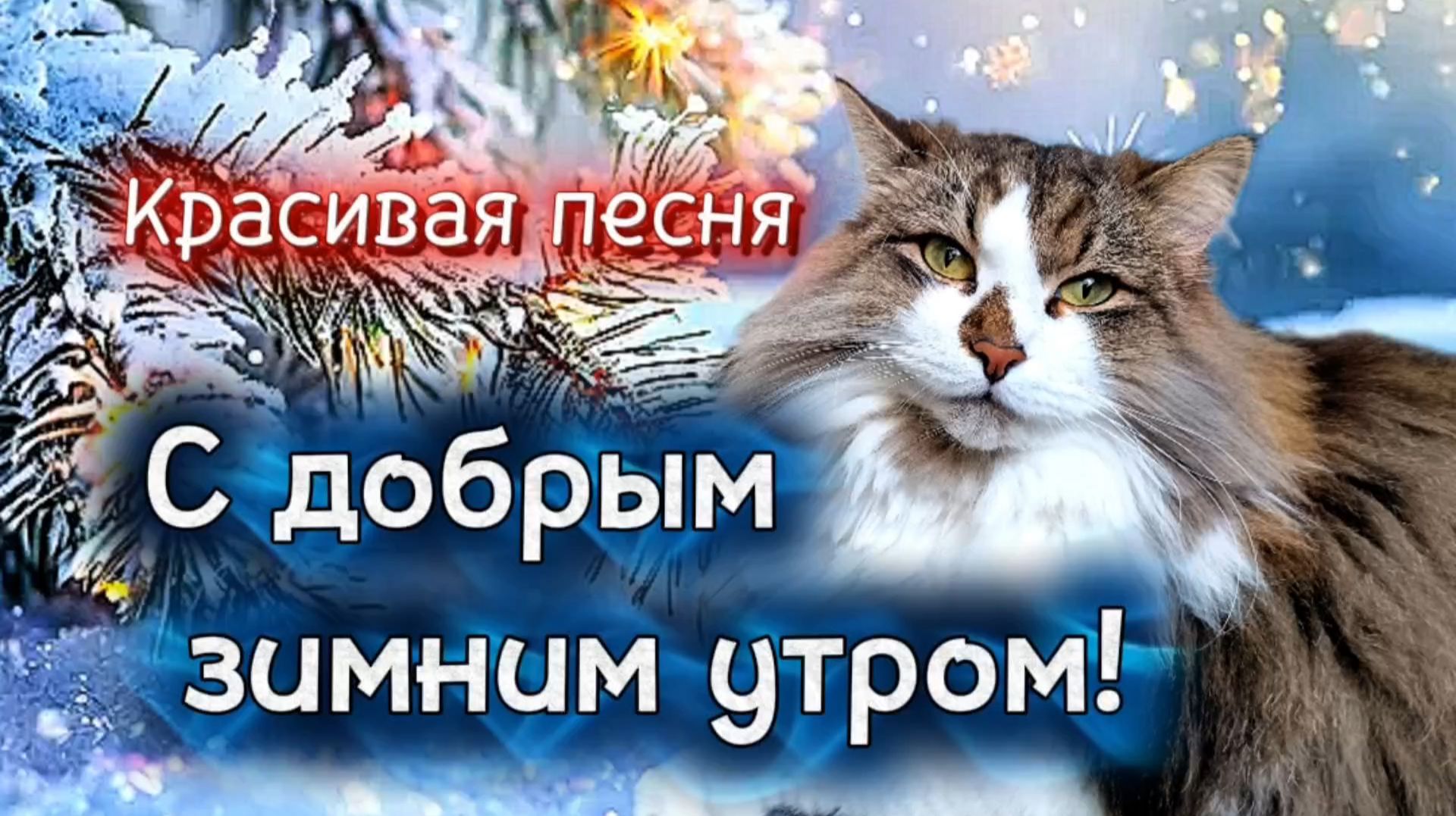 ДОБРОЕ ЗИМНЕЕ УТРО, ПРИВЕТ! С добрым утром!