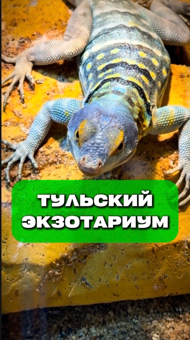 Тульский экзотариум