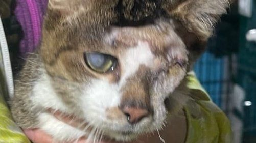 Тётя Соня. Aunt Sonya