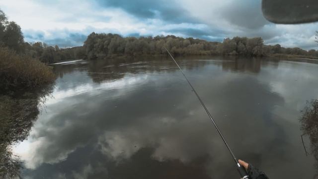 Спиннинг-легенда: Breaden GRF TX77 DESPOIL. Рыбалка поздней осенью