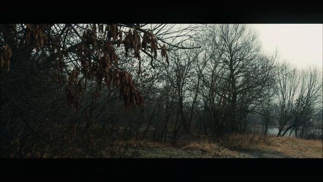 Первый снег. Apple Log Pro Res. iPhone 16Pro