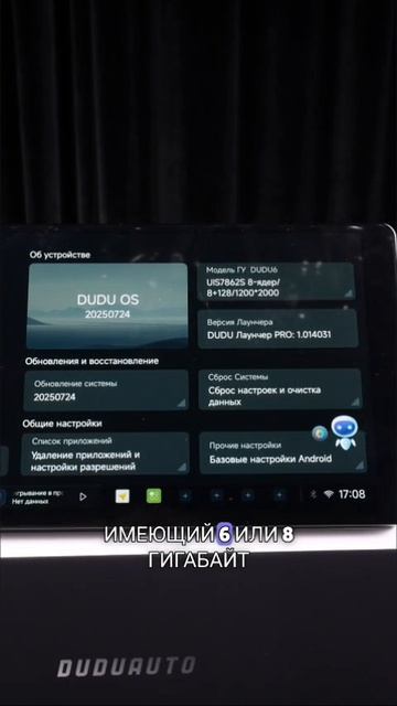 Ford Focus 2 серая + Dudu 6