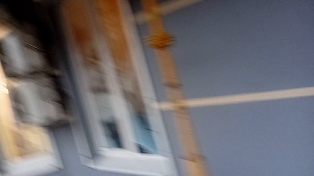 Сиалор гекоо