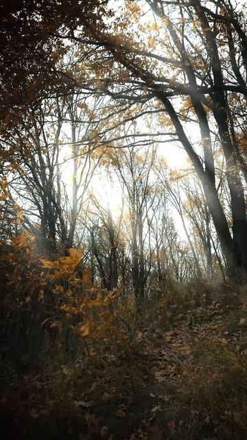 На осенней реке со спиннингом