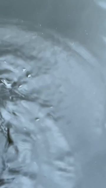 Первая щука сезона 2025. Отпускаю