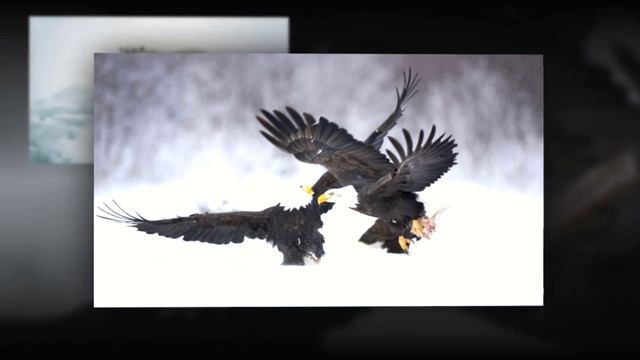 Atmosession - Vol.8 (chillout)