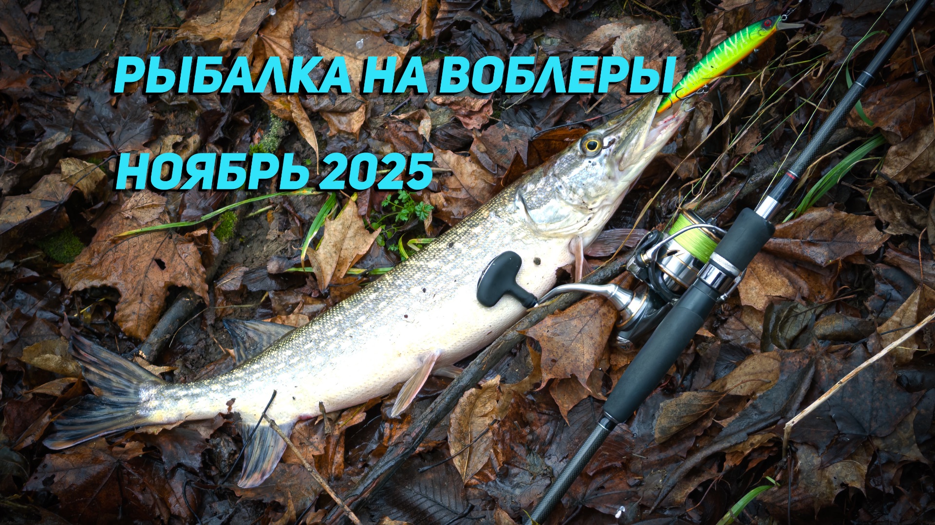 Рыбалка на воблеры в конце ноября 2025