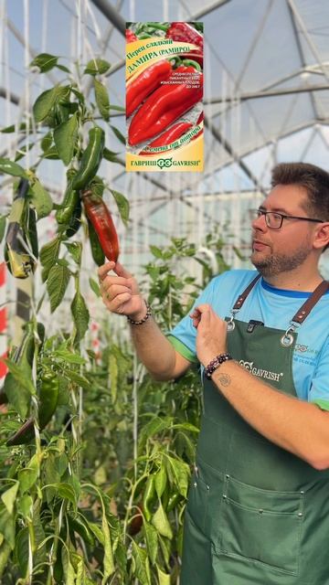 ОБЗОР ПЕРЦЕВ