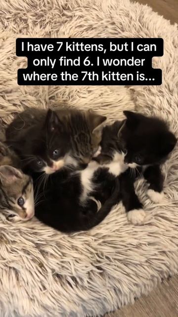 Седьмой нашелся