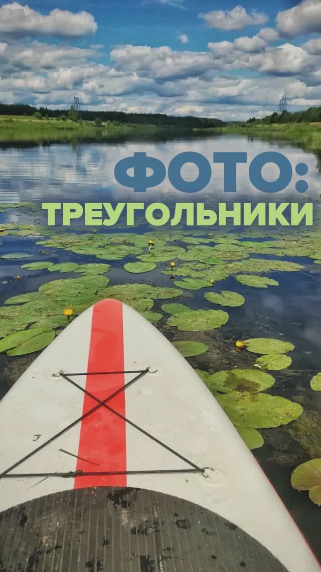 📸 Фото: треугольники. Часть 2 | занятия в Центре «Ломоносовец»