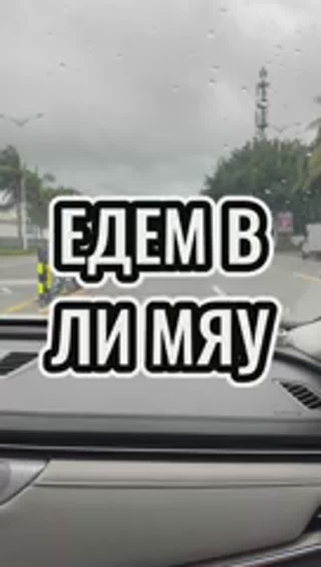 Дорога в ЛиМяу