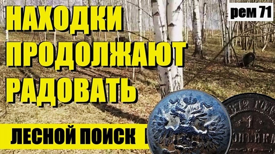 ДУМАЛ ВООБЩЕ НИЧЕГО НЕ НАЙДУ, А ОНО ВО КАК ВЫШЛО!. рем 71