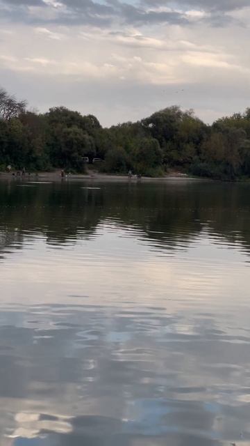 Вечерний выход леща на реке