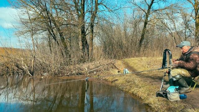 Testing the Sabaneev Foton Pro II Feeder