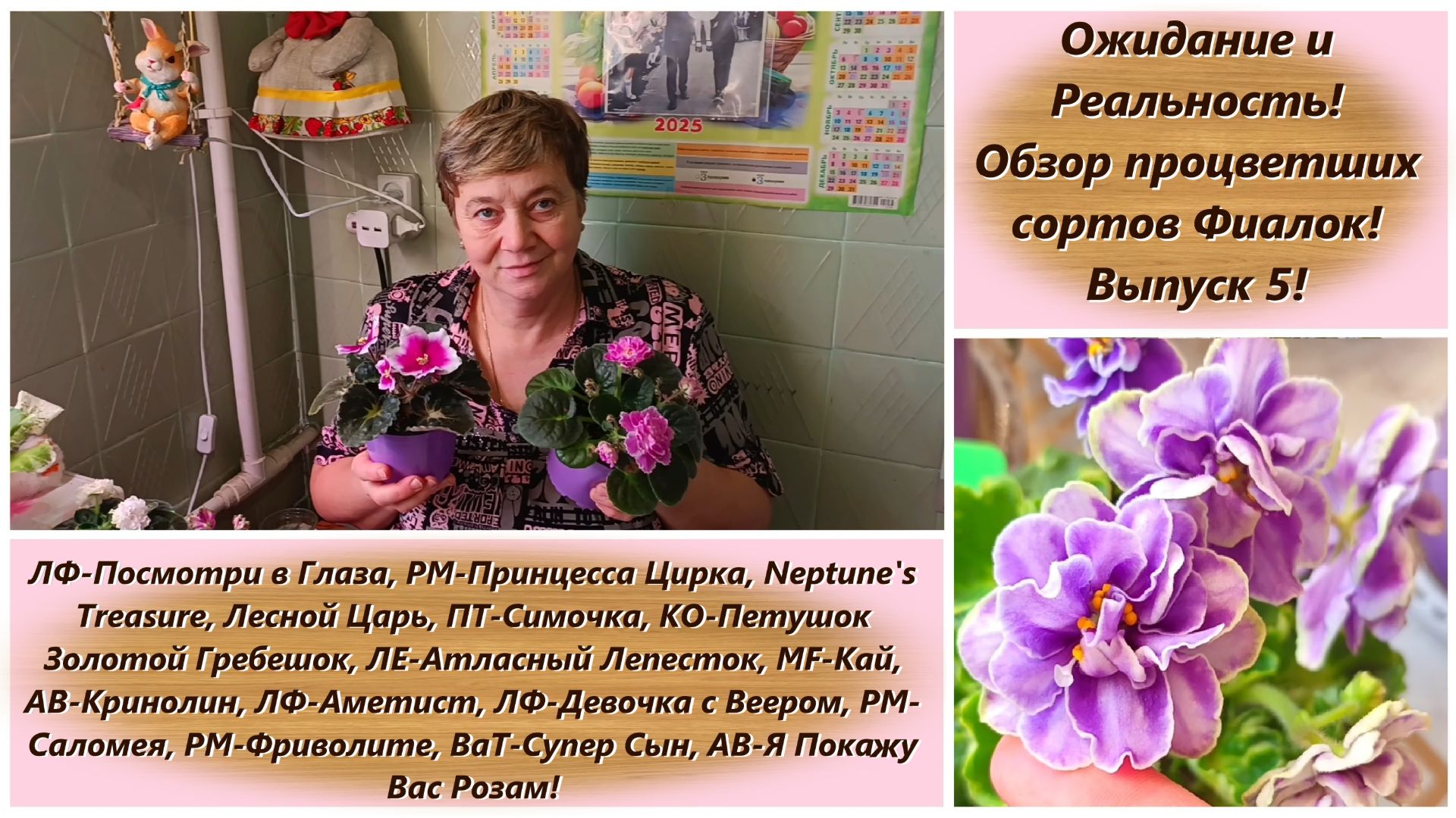 Ожидание и Реальность! Обзор процветших сортов Фиалок! Выпуск 5!