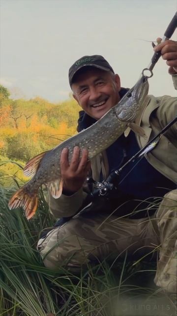 И снова щука! Фото оживает