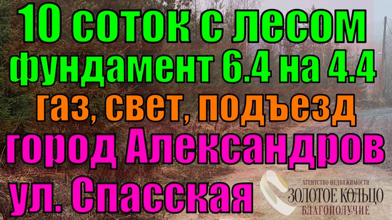 Продается  участок 10 соток с собственным  лесом и небольшим фундаментом в черте г. Александров,