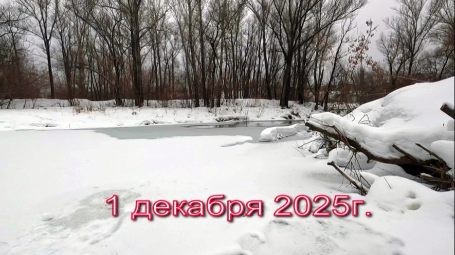 ВИДЕООТЧЕТ от 1 декабря 2025г.