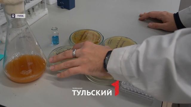 Ученые из Тулы сделали бактерии источниками энергии