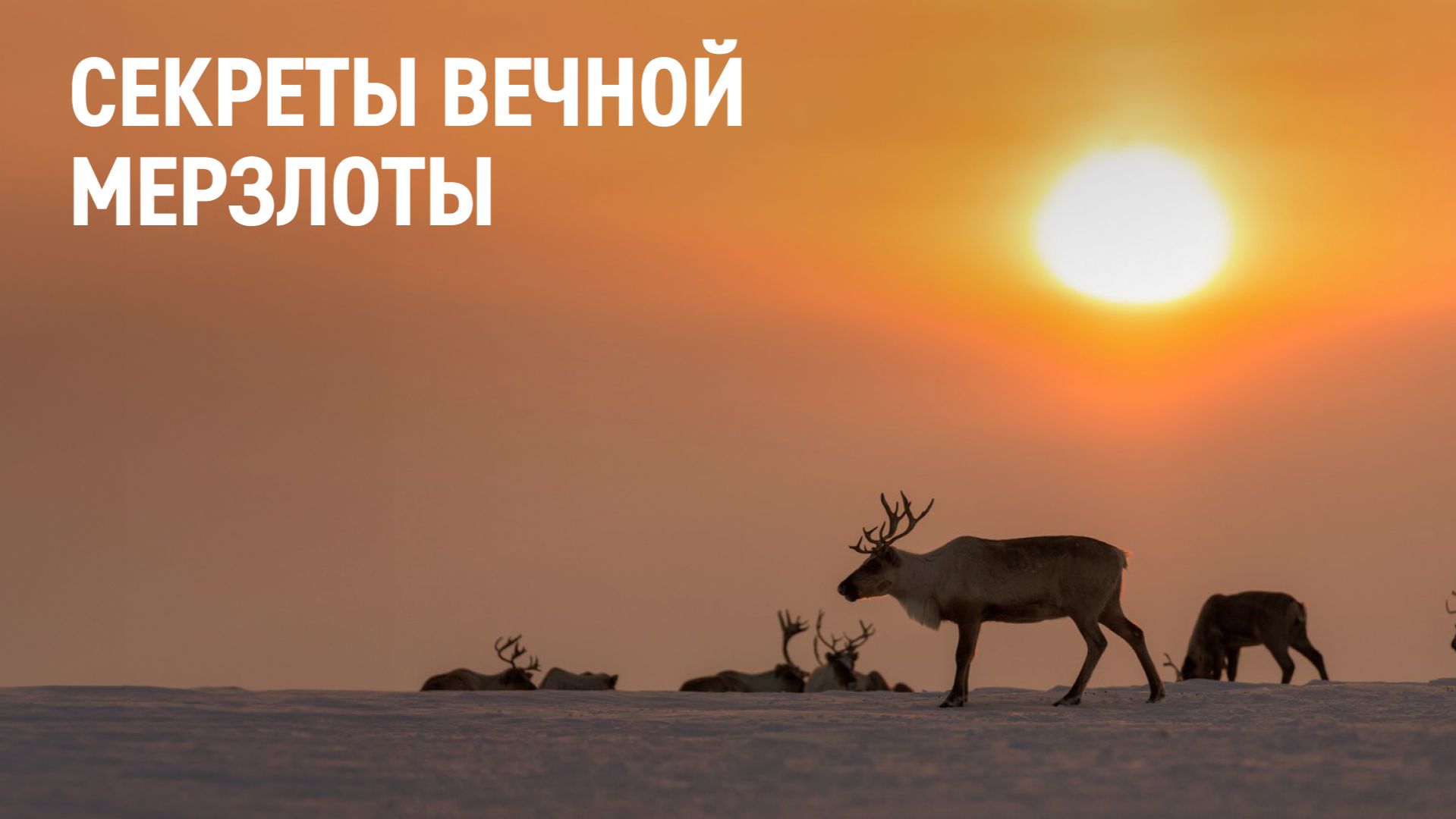 Секреты вечной мерзлоты