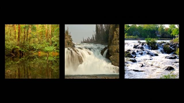 CJ Mind - Wave Surfing