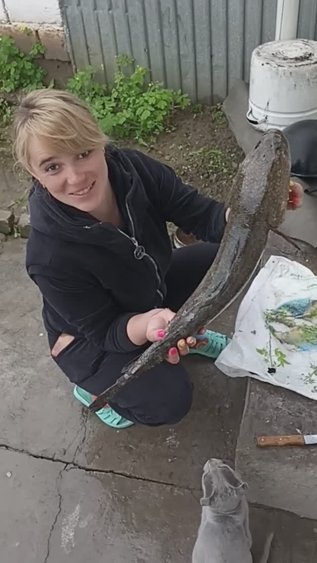 Поймала большую рыбину змееголова в Кыргызстане в Бишкеке