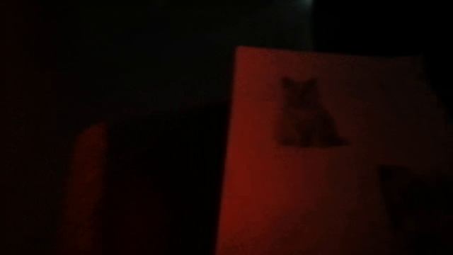 песня коты против мышей оригинал. коты мяу мяу мяу 🐈🐈