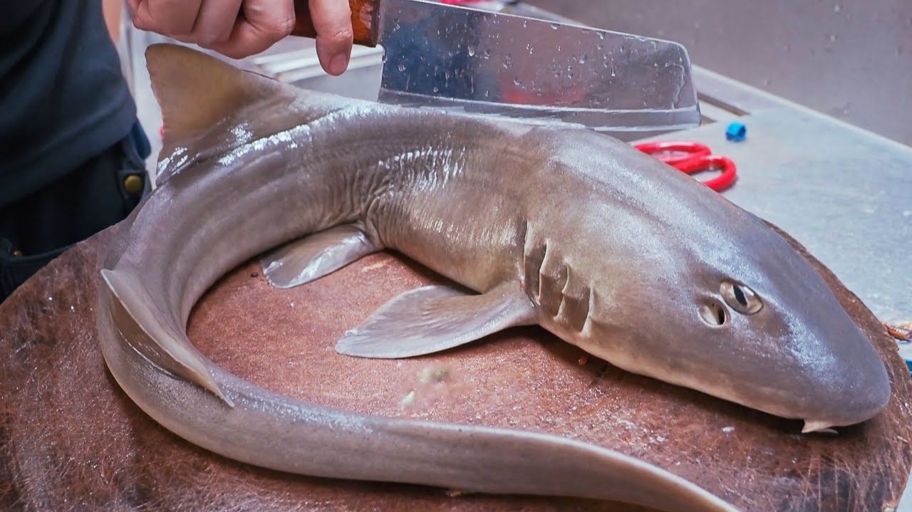 Удивительные навыки разделки акулы, приготовление и кулинария из акулы