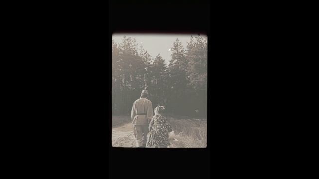 Ролик ГРАН-ПРИ