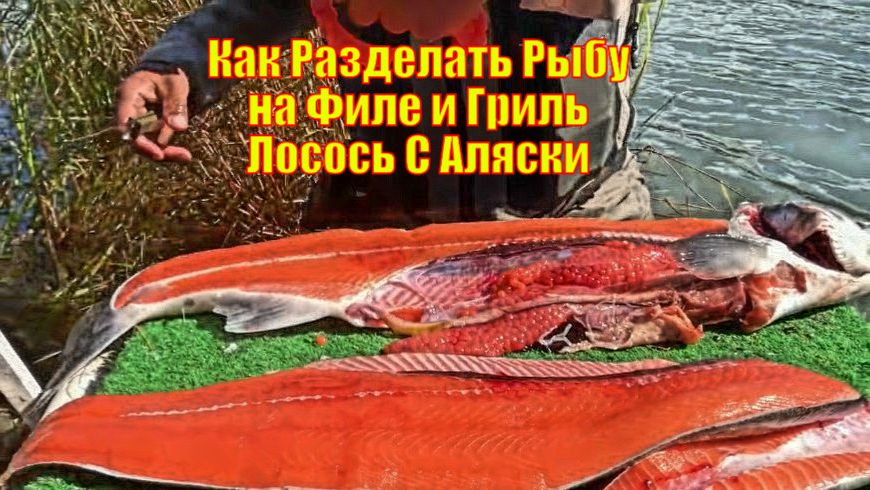 Как Разделать Рыбу на Филе и Гриль Лосось С Аляски
