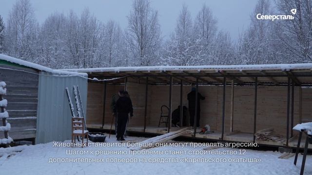 При поддержке «Карельского окатыша» в Костомукшском приюте для собак построят новые вольеры