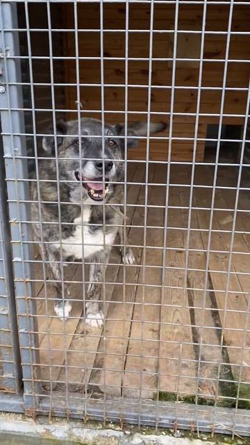 Заметьте мальчугана! 🙏