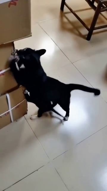 Батя плохому не научит!