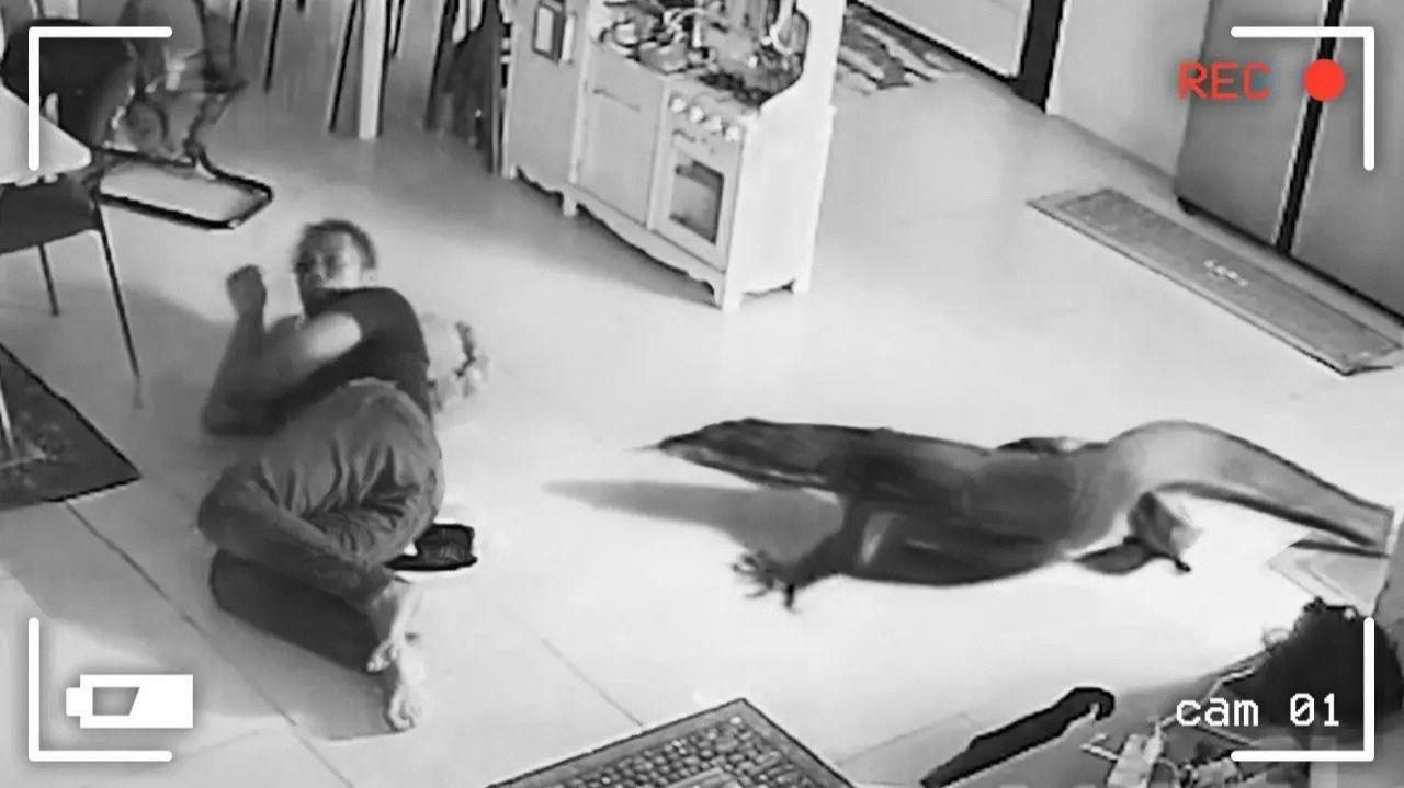 Нападения Экзотических Животных на Хозяев: 5 Шокирующих Реальных Историй