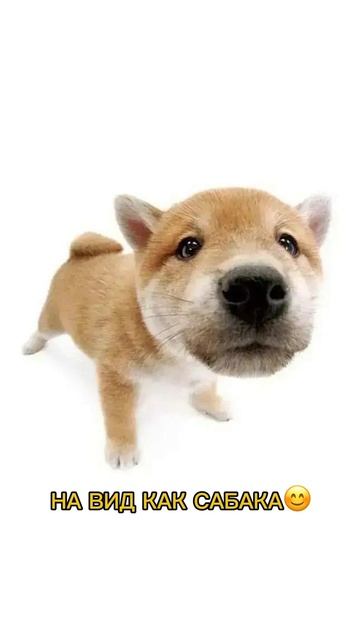 Выглядим красиво, ведь красиво — это стиль