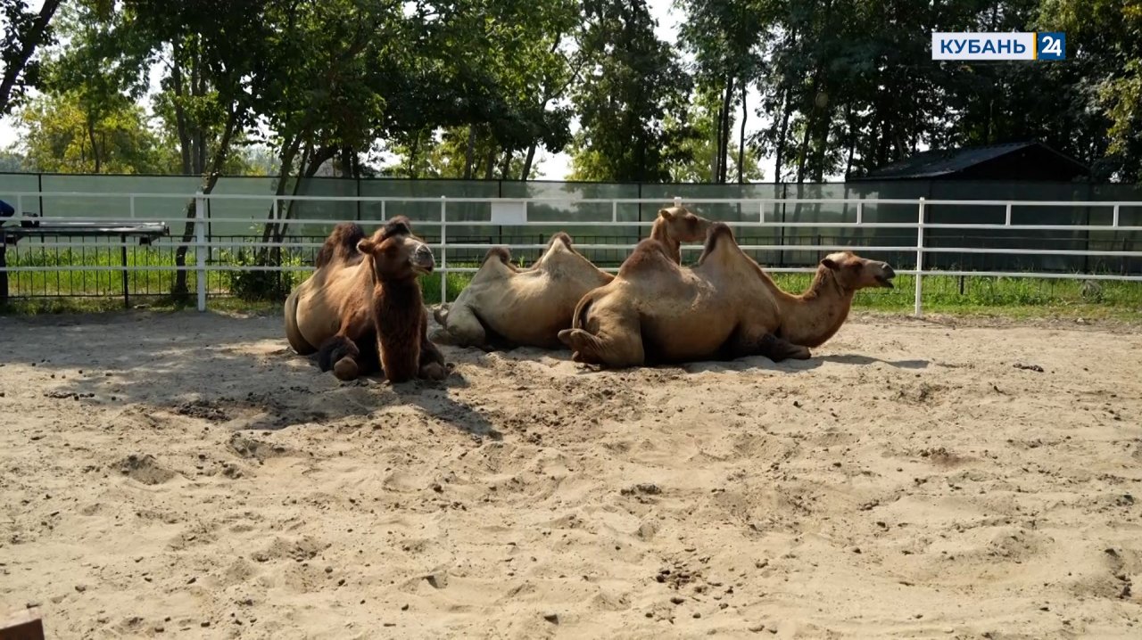 Агротуризм | Мир сельского хозяйства №87 | 11.11.25