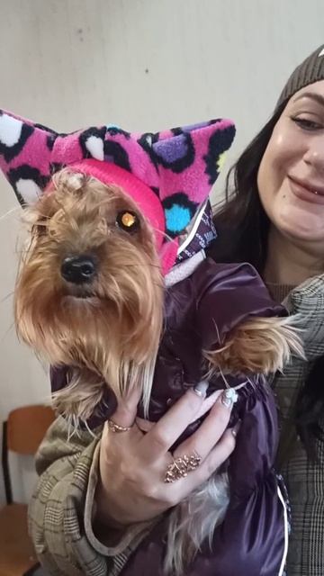 В таком наряде малышка Лира пришла ко мне сегодня! Модная девчонка!