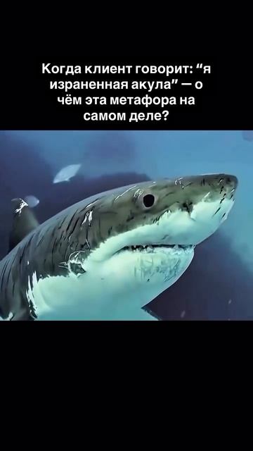 Обнаружьте свою скрытую силу: как научиться останавливаться и исцеляться среди внутренней боли