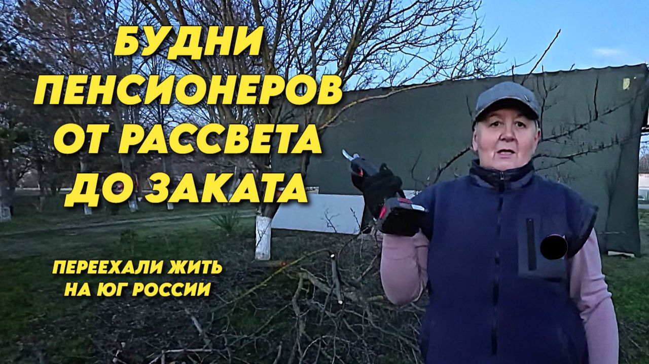 1038 Жизнь пенсионеров на юге/Обрезаем деревья/Делаем всё своими руками
