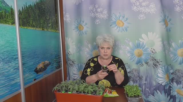 Самый простой посев сладкого перца - ПОСАДИЛ И ЗАБЫЛ! Без пикировки с возможной подсыпкой грунта.