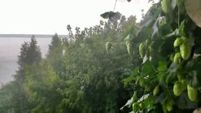 Дождик над рекой Werema54-2025