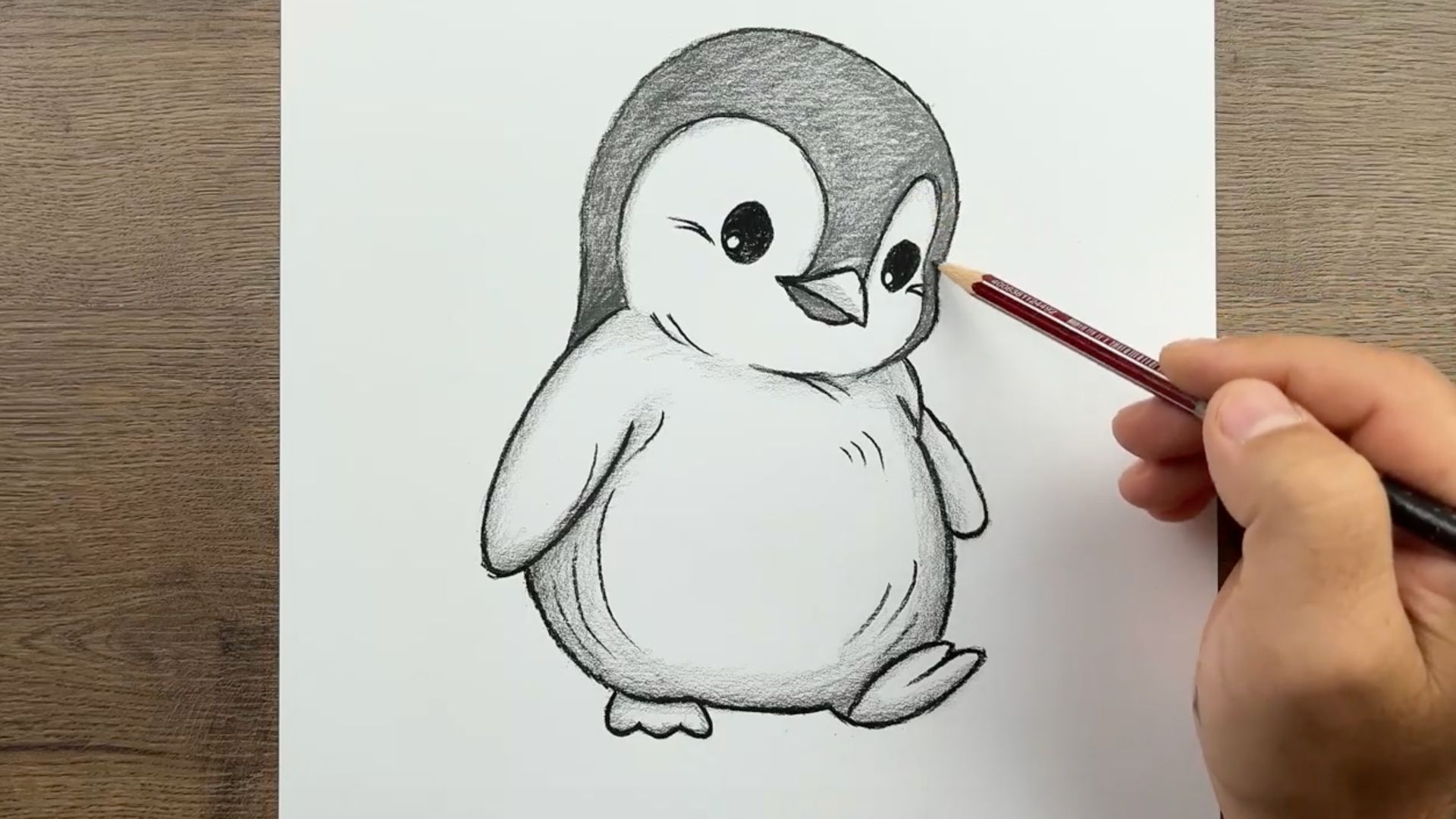 Как нарисовать милого Пингвина поэтапно, используя простой карандашный рисунок