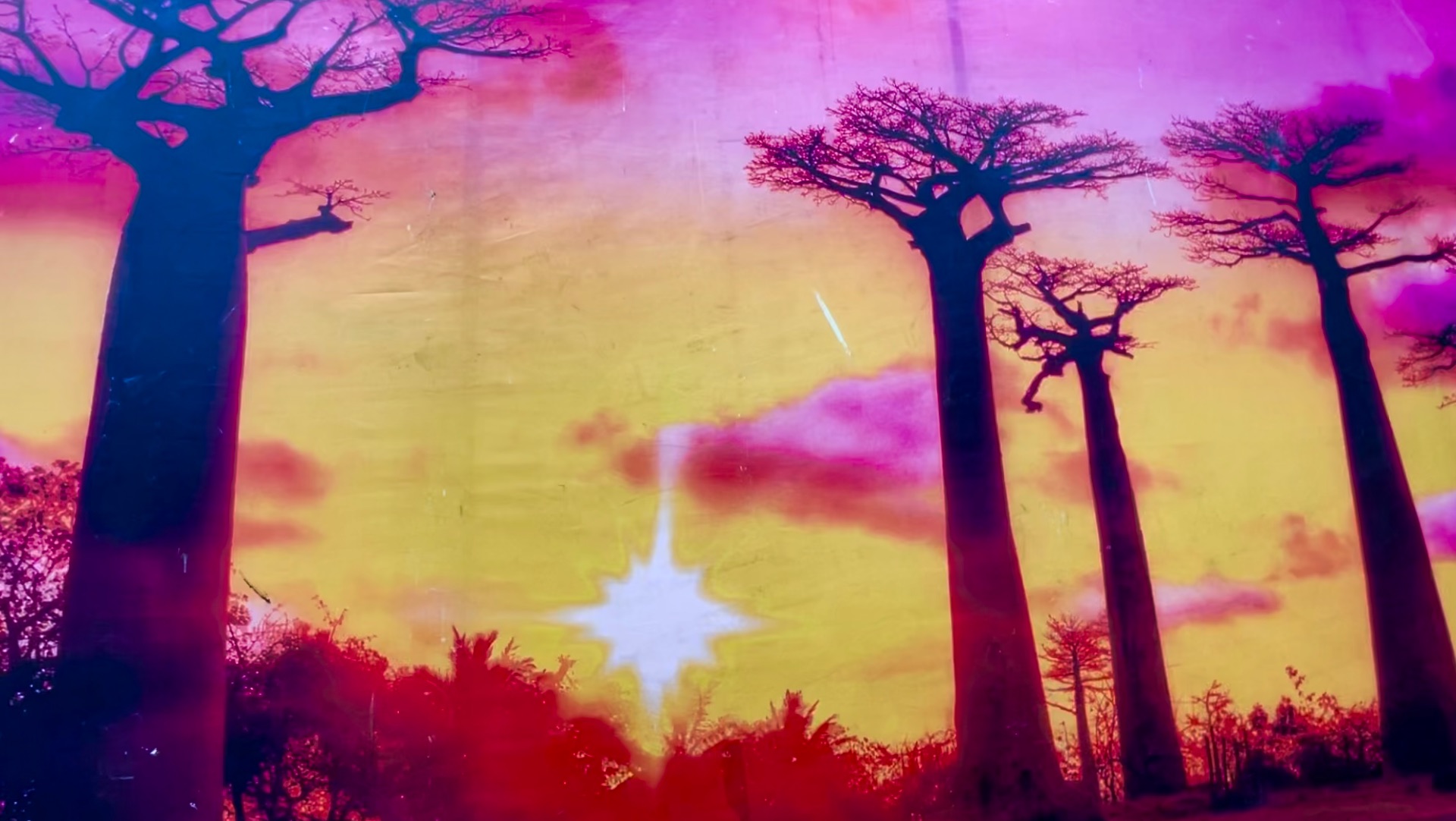 Человекообразные обезьяны: орангутаны и гориллы в Московском зоопарке. Часть 2 Москва. Эпизод 89